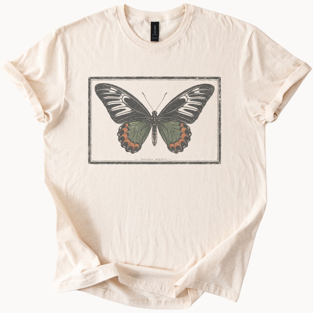 Vintage Butterfly Scientific Illustration Graphic Tee Natural